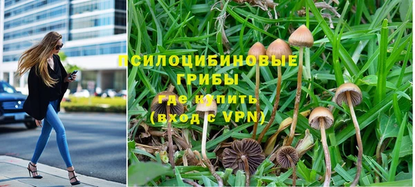 метадон Семёнов
