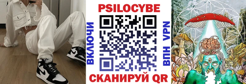 Галлюциногенные грибы Psilocybe  ссылка на мегу сайт  Козьмодемьянск 
